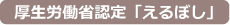 厚生労働省認定「えるぼし」